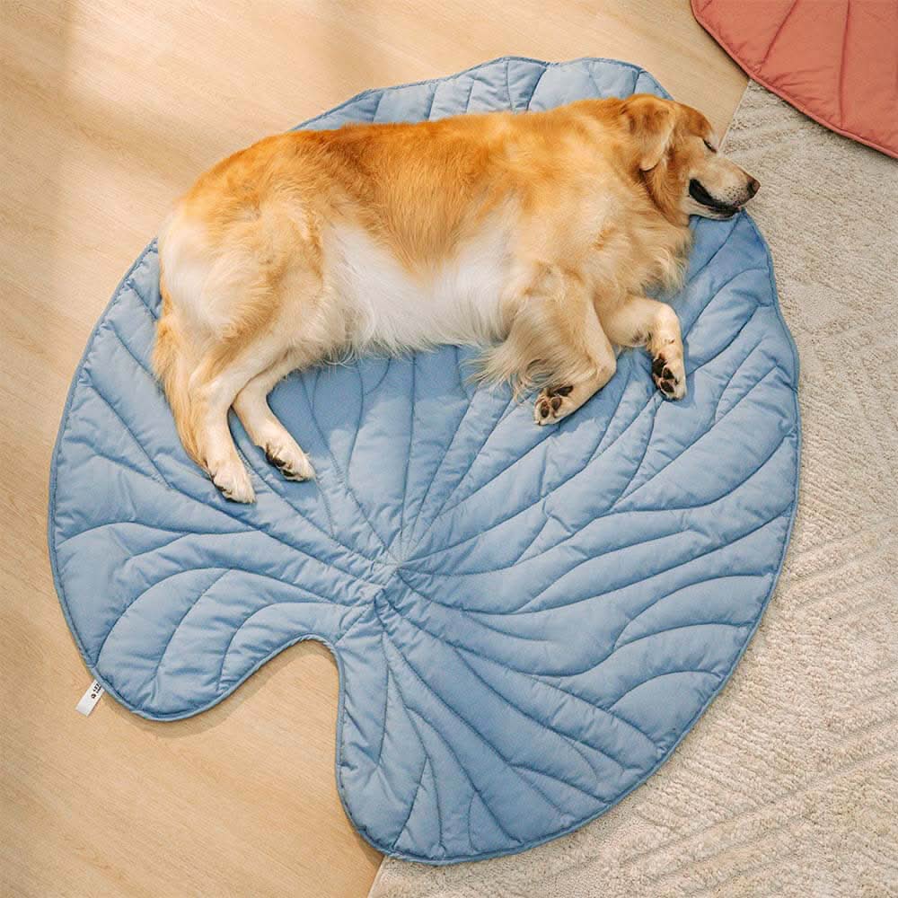 LeafPaws Blanket - Stylish dog blanket in leaf shape with soft padding & versatile use - Image 12