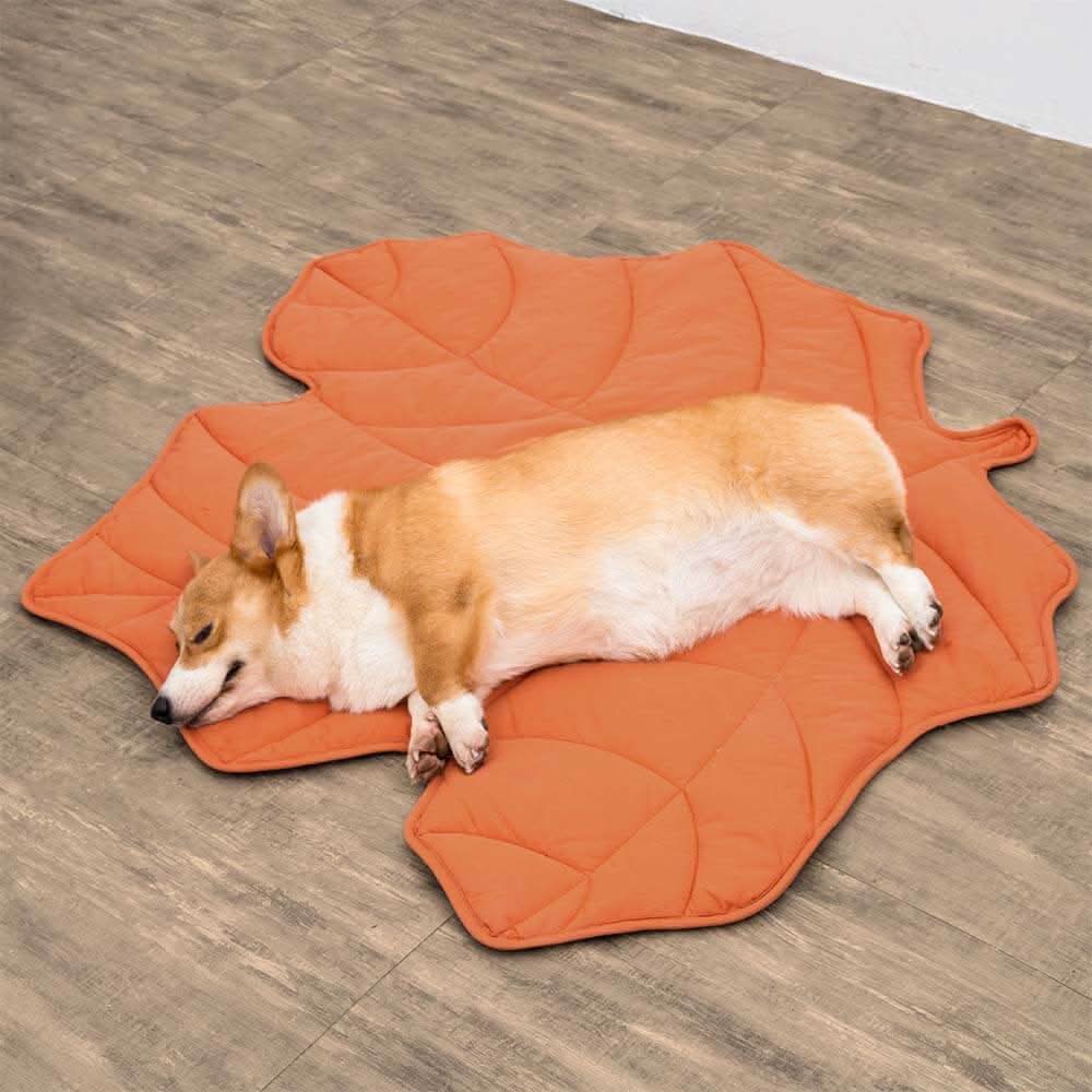 LeafPaws Blanket - Stylish dog blanket in leaf shape with soft padding & versatile use - Image 7