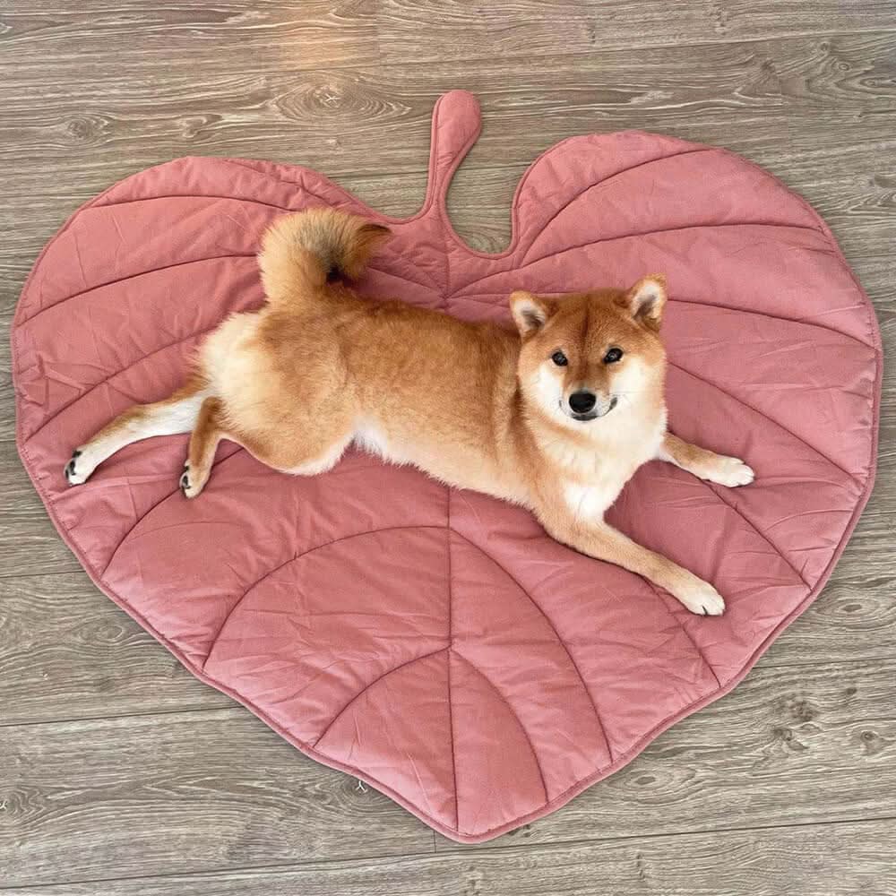 LeafPaws Blanket - Stylish dog blanket in leaf shape with soft padding & versatile use - Image 8