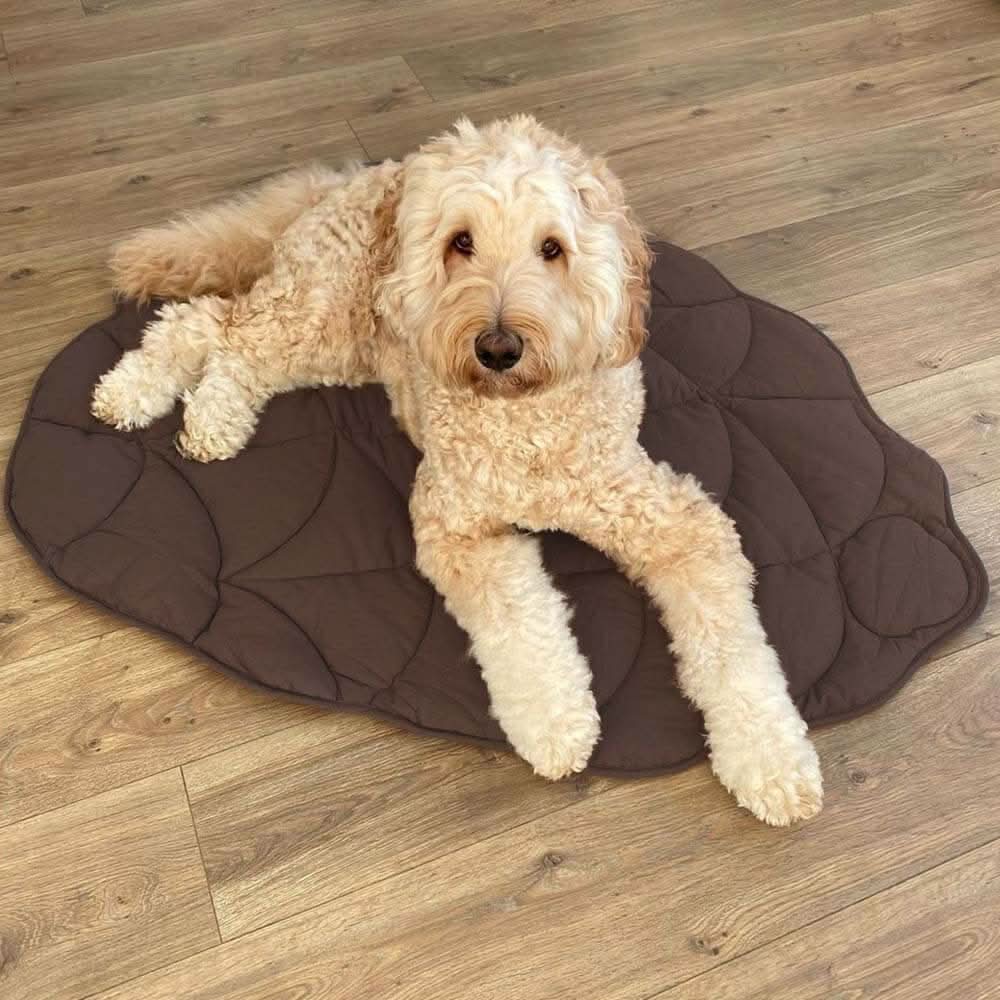 LeafPaws Blanket - Stylish dog blanket in leaf shape with soft padding & versatile use - Image 9