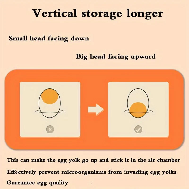 EGGSTACK – 2-layer refrigerator egg box with drawers and 32-capacity - Image 4