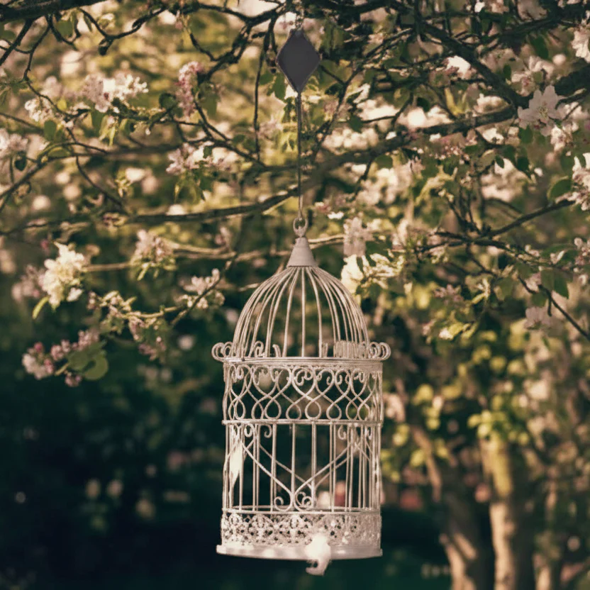 GARDENLIFT – Height-adjustable Hanging System for Plants & Birdhouses - Image 4