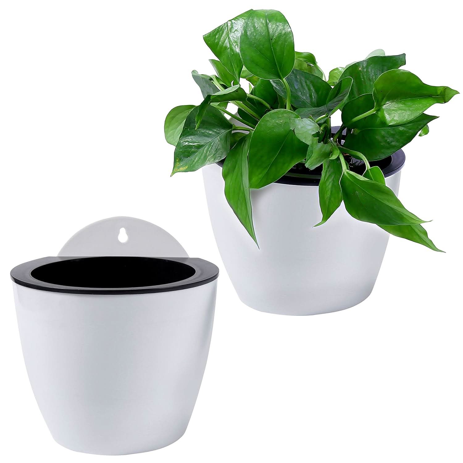 Plantiva – Vertical self-watering flowerpot for modern living - Image 10