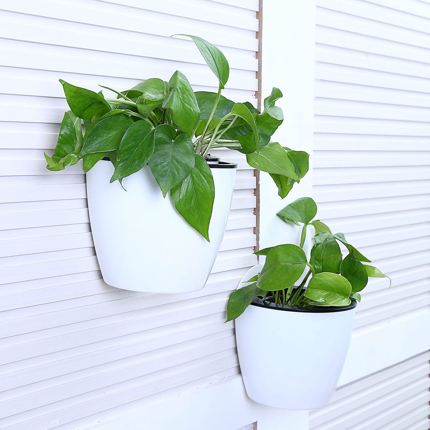 Plantiva – Vertical self-watering flowerpot for modern living - Image 9